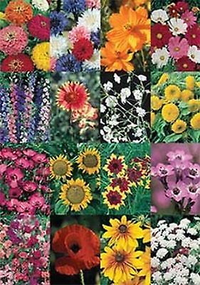 David's Garden Seeds Wildflower Cut Flower Mix SV3002 (Multi) 500 Open Pollin...
