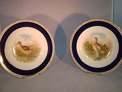 Wild Bird Ducal Crown Ware Plates (2) c. 1930s England 8 3/4