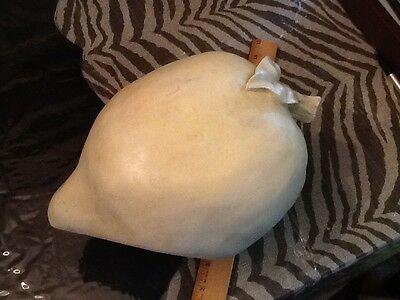 LARGE 8 inch IVORY APPLE Figurine by Ballards Design or Pottery Barn