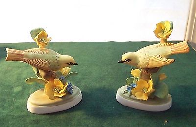 Birds Staffordshire England: Matched pair, #118 & #119