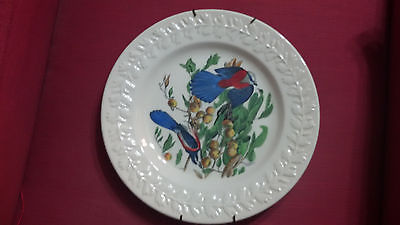 Vintage Adams China John James Audubon THEBIRDS OF AMERICA FLORIDA JAY