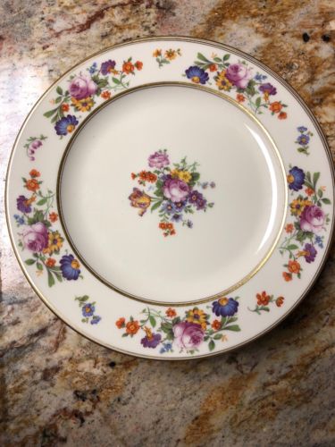 Set Of 6 Coxon Belleek Floral Bouquet D-1025 on Ivory: Dinner Plates 9”