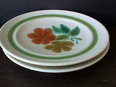 **FLORAL (2) 6 ¾” BREAD & BUTTER PLATES FRANCISCAN CHINA 1971-1977  MS29-G