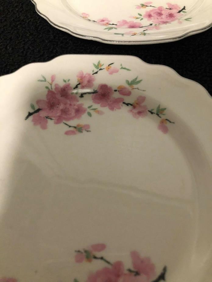 W S George White Lido Peach Blossom Platinum set of 2 dinner plates pre-owned