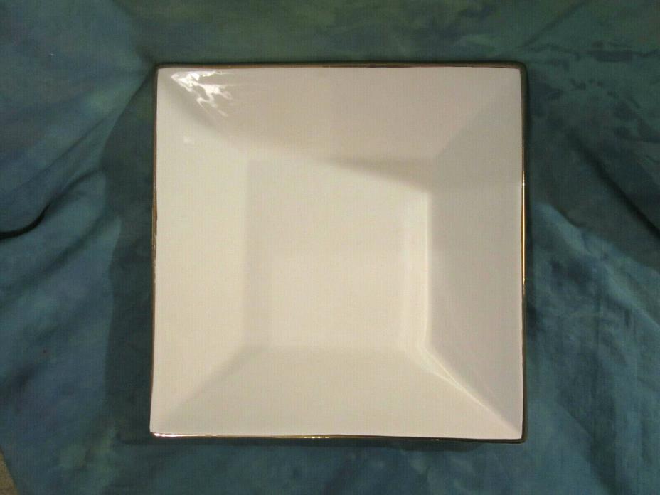 Square Dinner Luncheon Plates 8.5