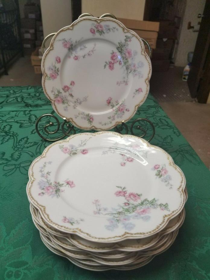 7 =  Haviland Limoges Schleiger 261~ Luncheon Plates