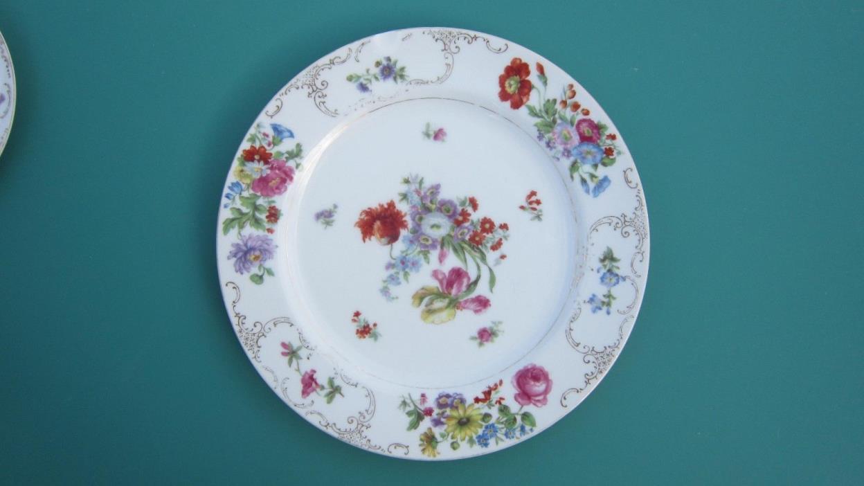 4 DINNER PLATE 4 dessert plates FLORAL -Imperial China - Dresdamia