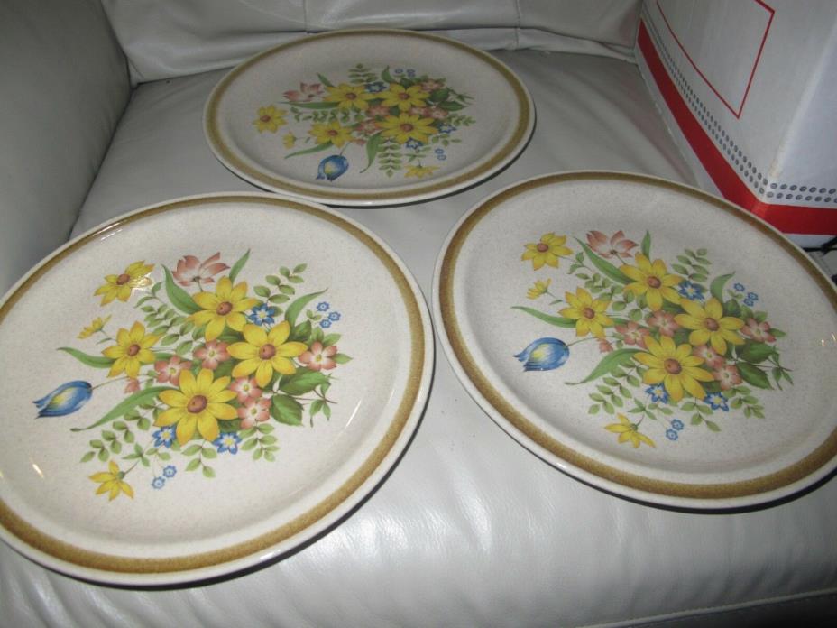 Country Living International China Colette Set of 3 Dinner Plates