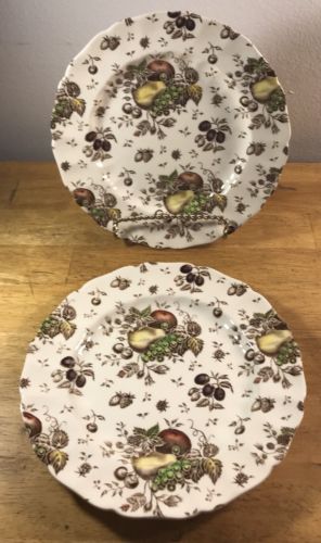 Lot of 2~Vintage Johnson Brothers AUTUMN'S DELIGHT Dinner Plates