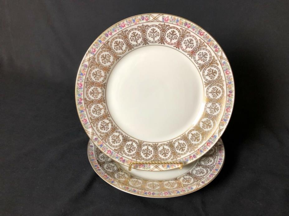 Lot of 2 KPM Royal Ivory Sussex 10&1/4” Dinner Plates Floral Gold Circles & Rim