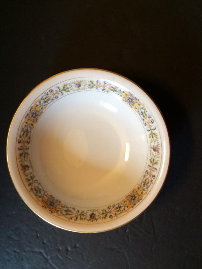 Limoges China ca 1920's - Wm Guerin & Co, Pattern GUE23, 6