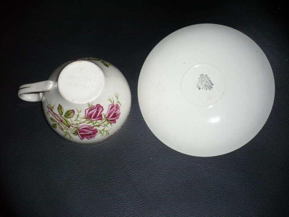 J & G Meakin Anniversary Rose Tea Cup and Saucer 22KT Gold Coffee Cup
