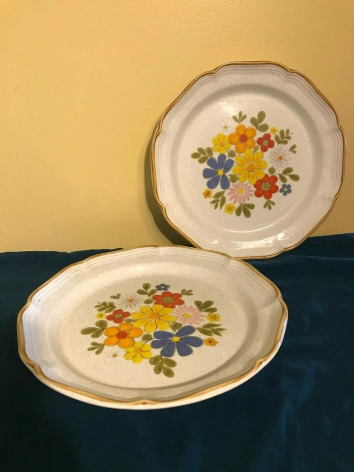 Mikasa Baronial Natures Bouquet Set of 2 Dinner Plates Floral CM-951 Stoneware