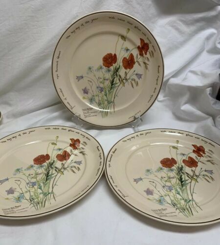 Lot of 3 Noritake The Country Diary Of An Edwardian Lady 10” Dinner Plate Holden