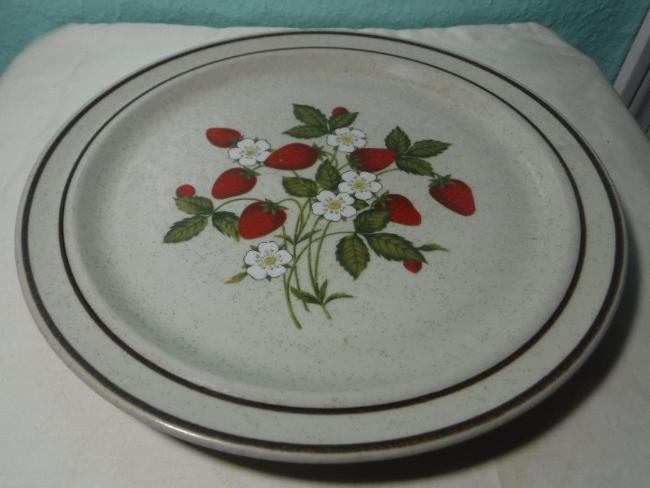 Newcor SUSANNE Dinner Plate 601 Reqency 10 1/2