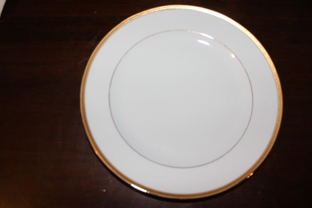Beautiful Rare Coreling Fine China Forever Pattern Dinner Plates Bavaria