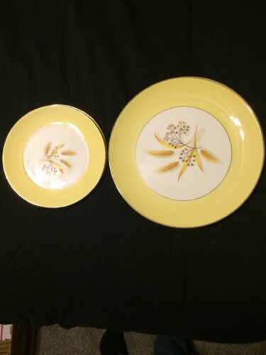 Vintage Lot Of Century Service Corporation Semi Vitreous Dinnerware Plates