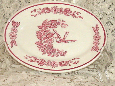 Oval Hummingbird/Floral Restaurant Ware 7.5x5