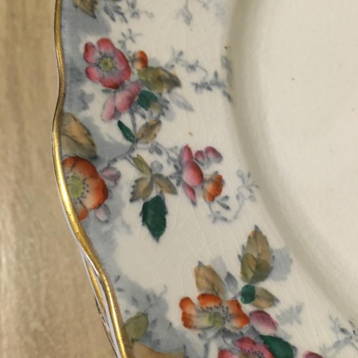 10 Antique Ridgways Royal Semi Porcelain Floral Dinner Plates Claredon 1800's