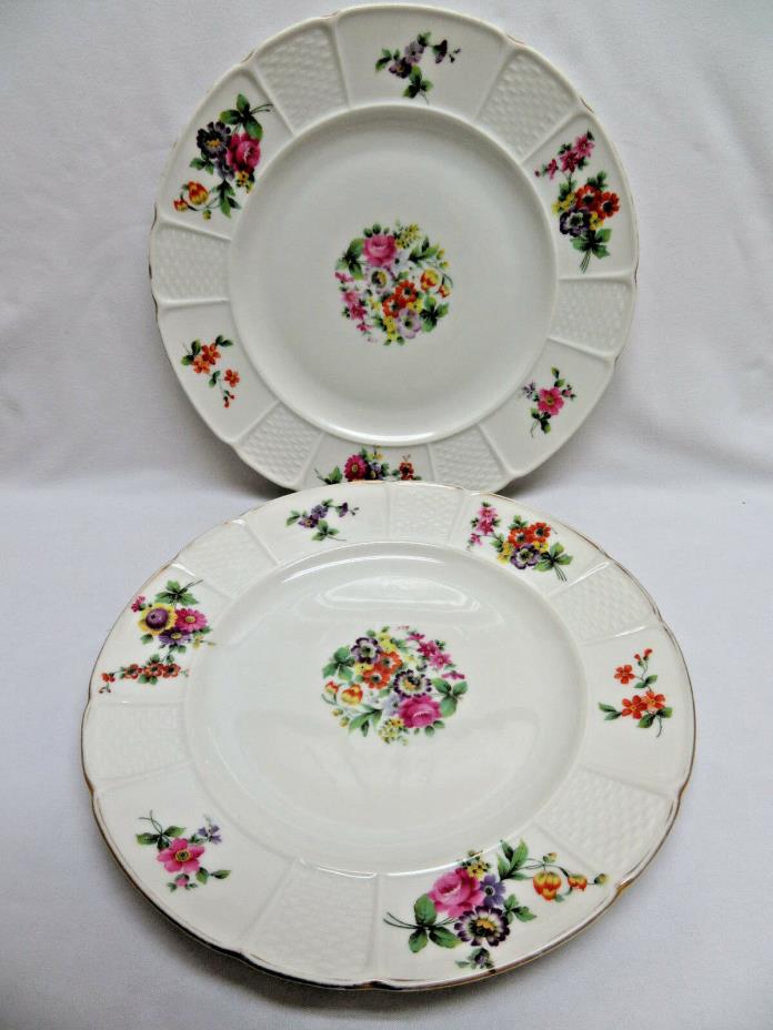 2 Rosenthal Bavaria Porcelain Dinner Plates