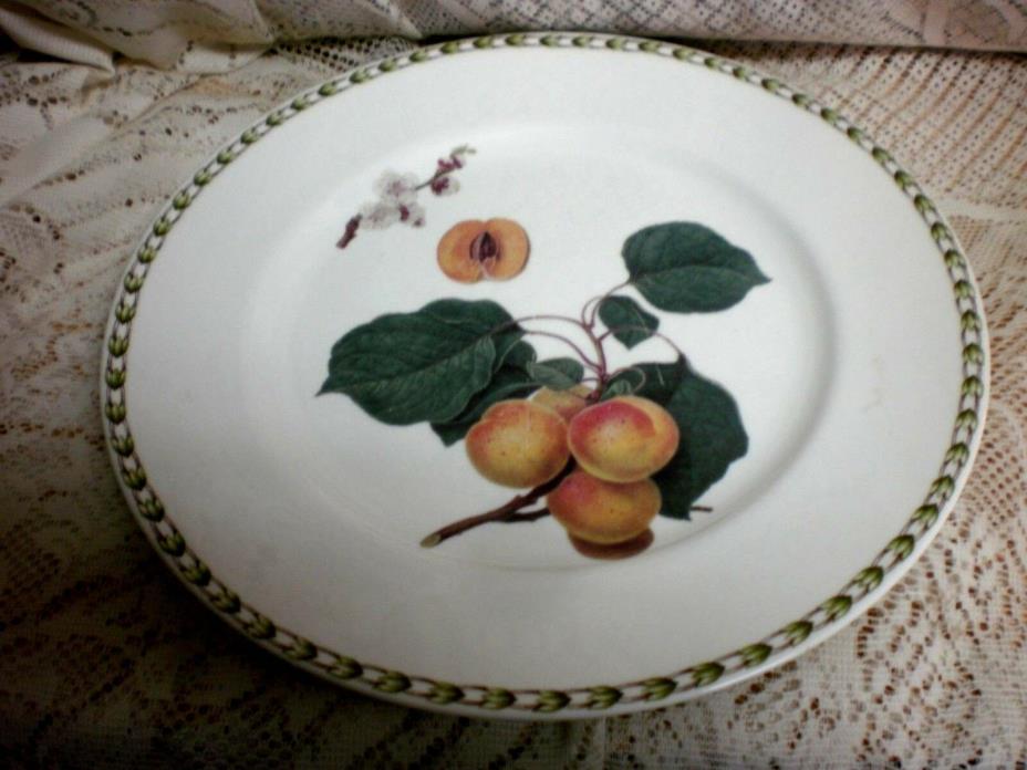 Rosina Queens HOOKER'S FRUIT (BONE CHINA MADE INDIA  ) Apricot Dinner Plate