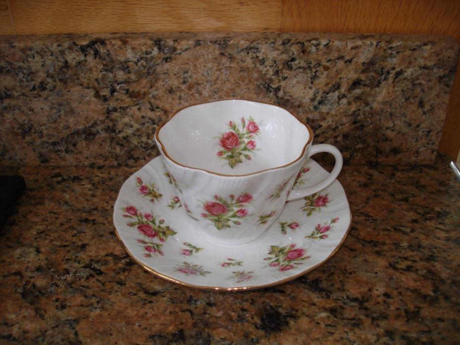 Vintage Queens Rosina Cabinet Tea Cup & Saucer Bone China Roses Swirl England