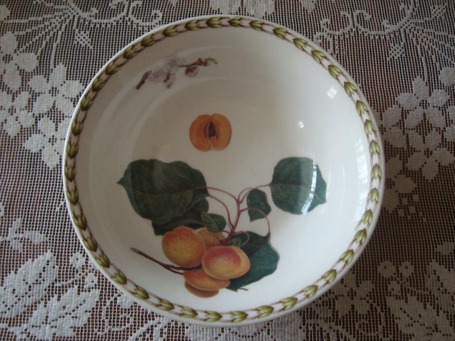 Rosina Queens HOOKER'S FRUIT (INDIA) Peach Soup Cereal Bowl