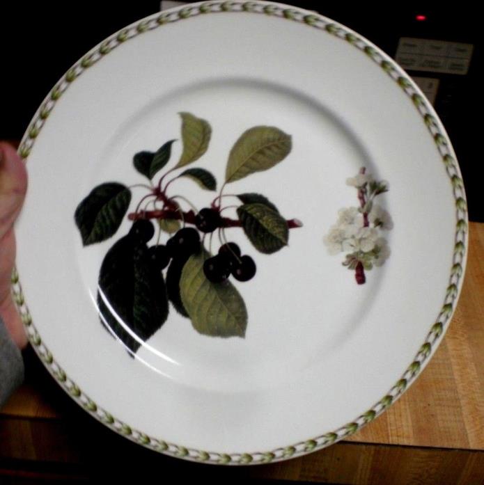 Rosina Queens HOOKER'S FRUIT (BONE CHINA MADE ENGLAND ) CHERRIES  Dinner Plate