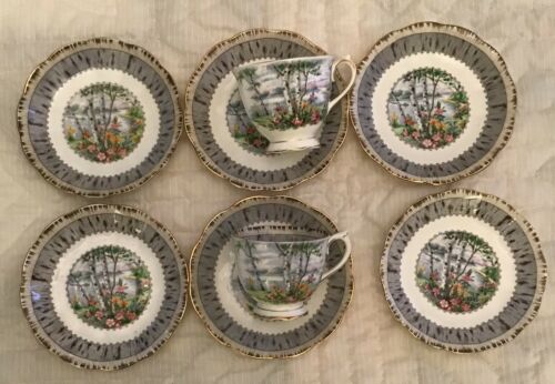 Royal Albert Silver Birch Two Tea Cups And  Six Saucers. AC