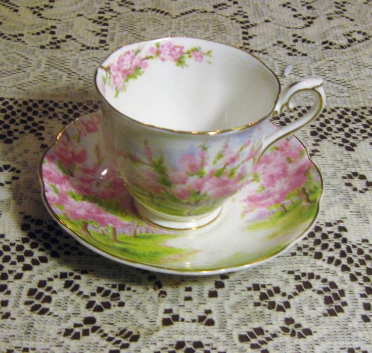 Royal Albert Blossom Time Tea Cup and Saucer Set Bone China England