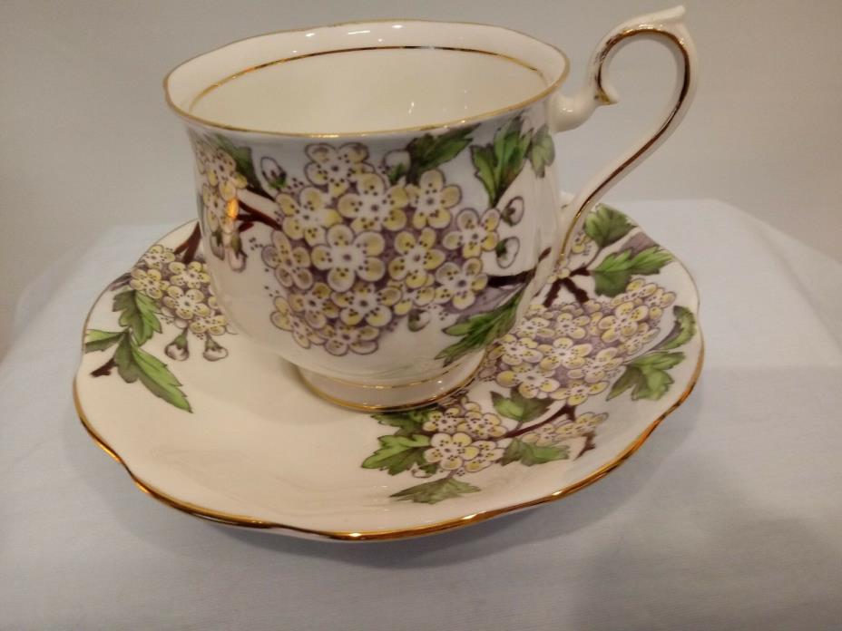 Royal Albert HAWTHORN Flower of the Month Floral Cup & Saucer