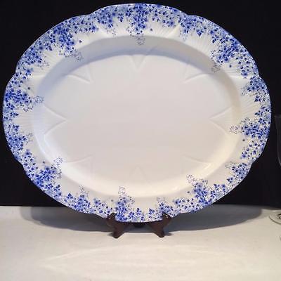 RARE SHELLEY DAINTY BLUE LARGE SERVING PLATTER  CH4231