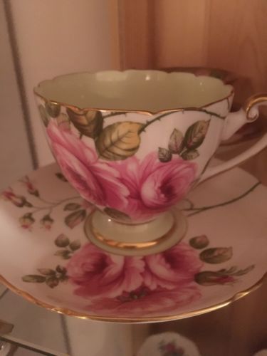 VINTAGE FINE CHINA SHELLEY RAMBLER ROSE  CUP SAUCER # 12747 ENGLAND