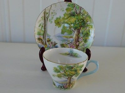 Shelley Woodland Vintage Tea Cup & Saucer Fine Bone China England 13348 Ex Cond