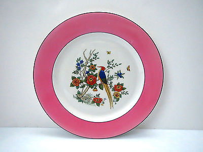 6 Vintage Syracuse China ART STUDIO O P Co Dinner Plate BIRD OF PARADISE Pink