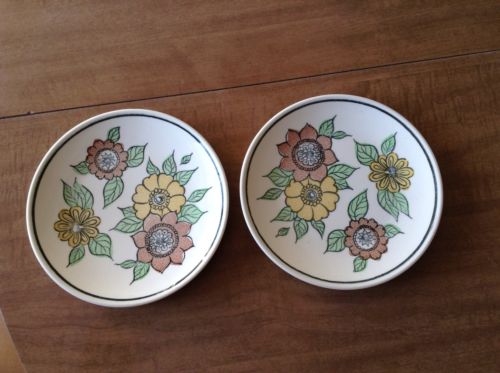 Vintage Set Of 2 Taylor Smith & Taylor Ironstone Salad Plates USA Flora Pattern