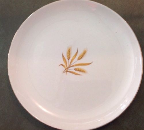 VINTAGE TAYLOR SMITH TAYLOR WHEAT Small Dinner PLATE Salad Dessert 8