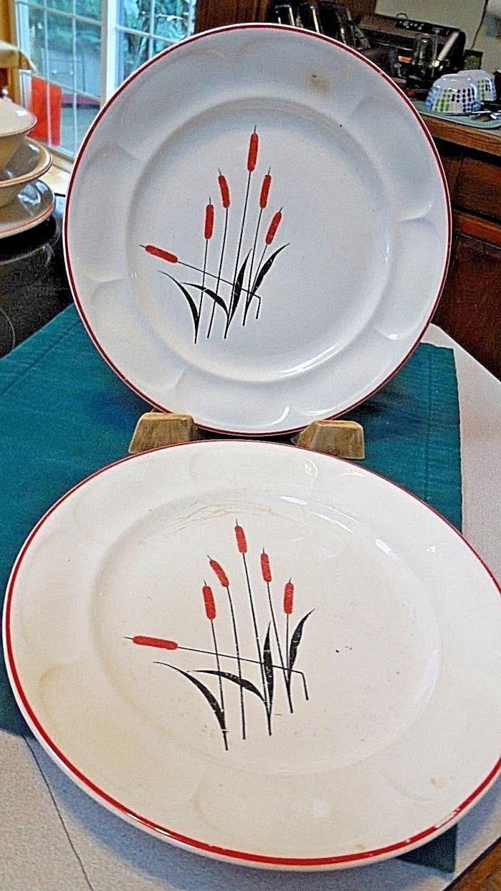 Universal Cambridge Cattail Tableware Vintage 1940's Round Plate