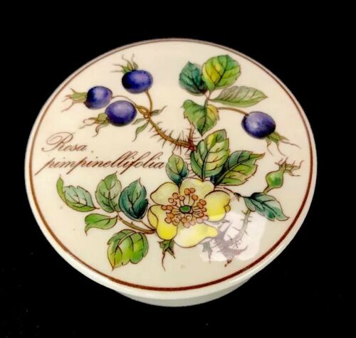 Vintage Villeroy & Boch Botanica Porcelain Trinket Box Rosa Pinpimellifolia