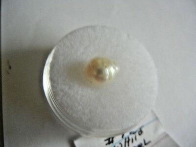 South sea white pearl 100% natural  9. mmx 7. mm baroque