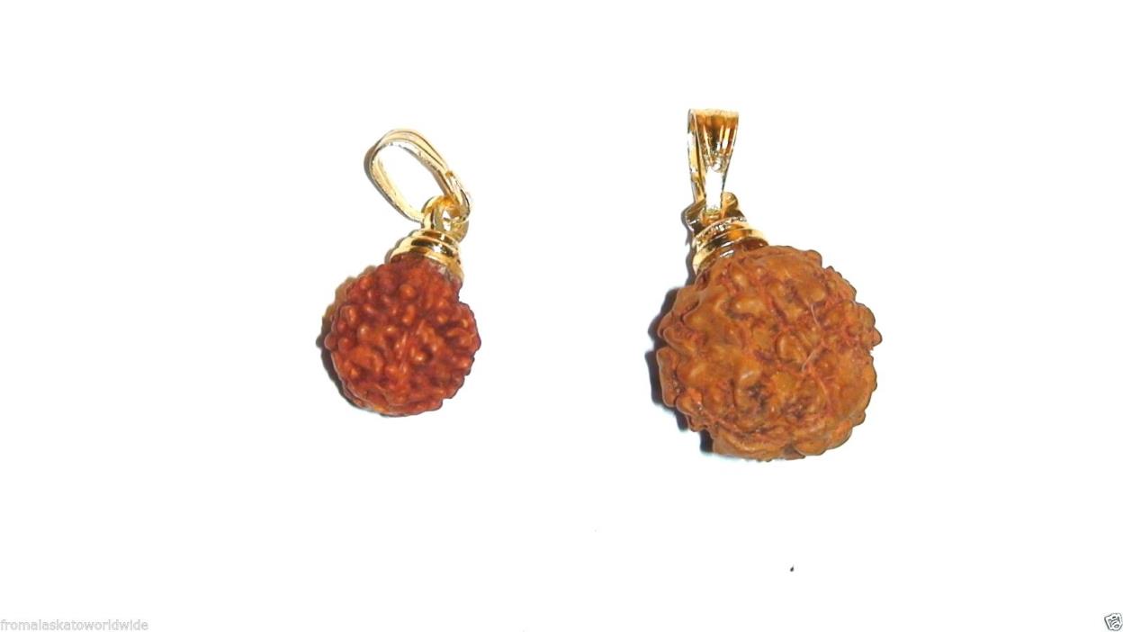 5 Mukhi Facets Rudraksha Bead Pendant In 2 Sizes 1/2” or 1/4” Diameter Gold Tone