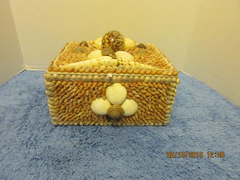 Encrusted Seashell Jewelry Keepsake Trinket Box