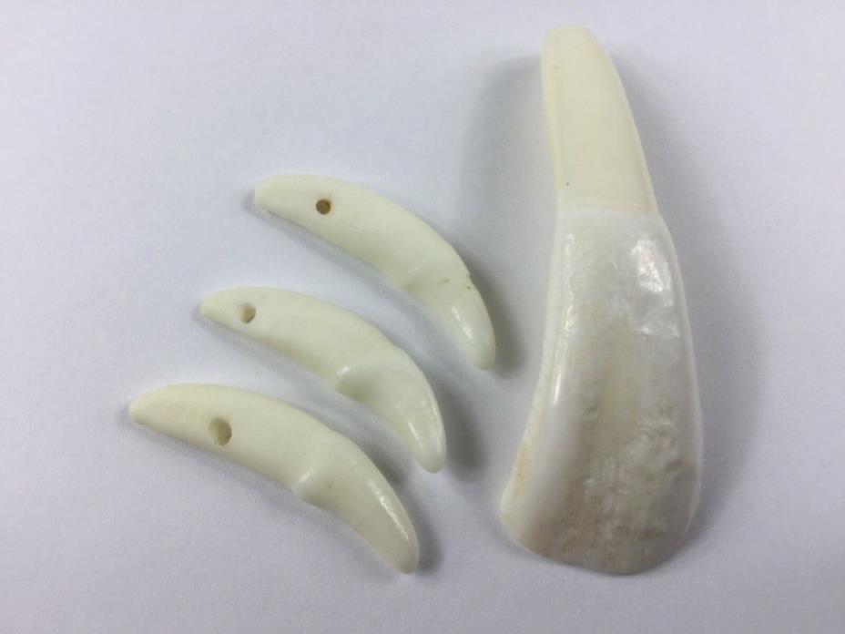 Buffalo & Coyote Tooth Beads 4pcs. Crafts Jewelry Making