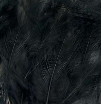 Saddle Hackle Feathers 7g Black 684653381442