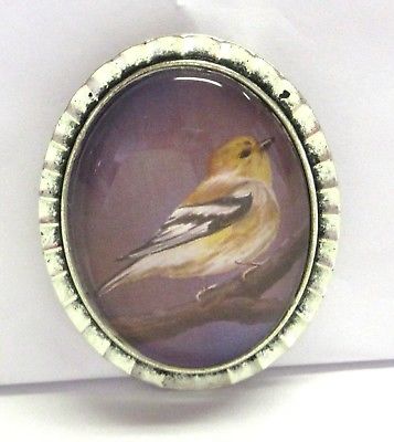 Handmade Glass Cabochon Pin- Goldfinch Bird