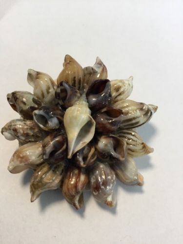 1960’s Vintage Hand Made Cluster SEA SHELLS Brooch Pin
