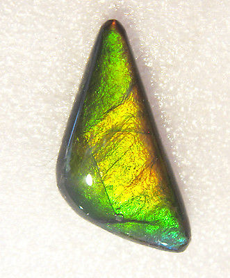 AMMOLITE GEMSTONE 24mm x 11mm