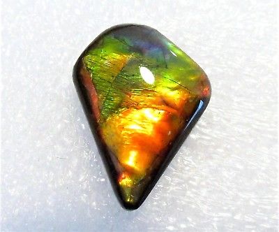 AMMOLITE GEMSTONE 19mm x 14mm
