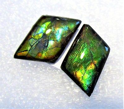 AMMOLITE GEMSTONES  Suitable for Earrings 20mm x 11mm & 20mm x 11mm