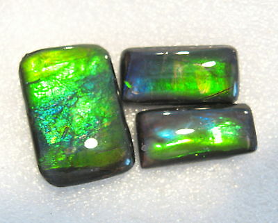 AMMOLITE GEMSTONES LOT of THREE Perfect for Pendant and Earrings